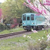 花桃とて