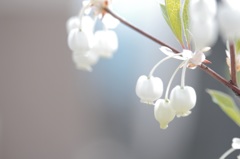 朝の一枚…