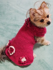 いくつもの幸せ