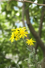 P1004929