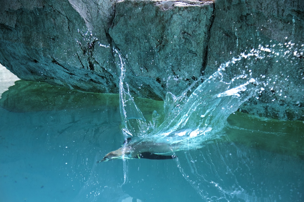 着水