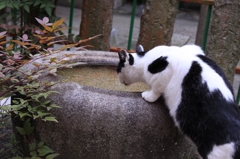 潤う