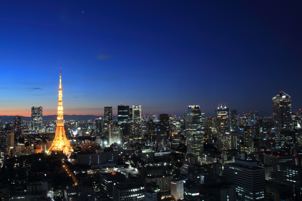 東京タワー　その2