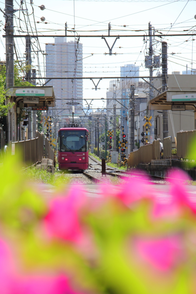 夏はもうすぐ。