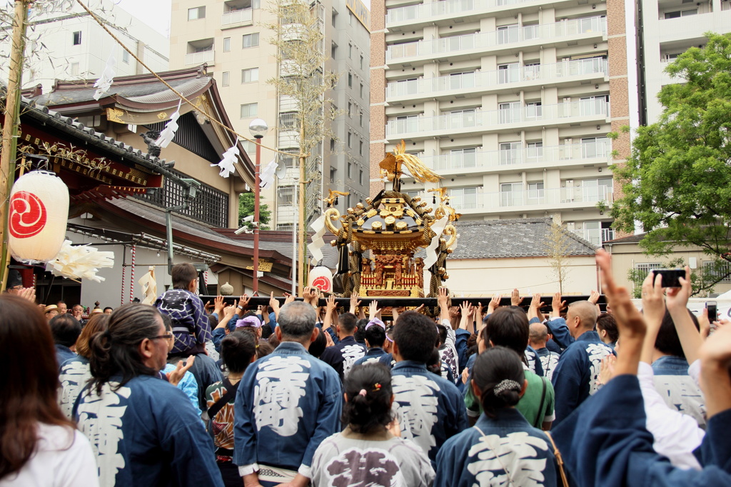 浅草三社祭（2/7）