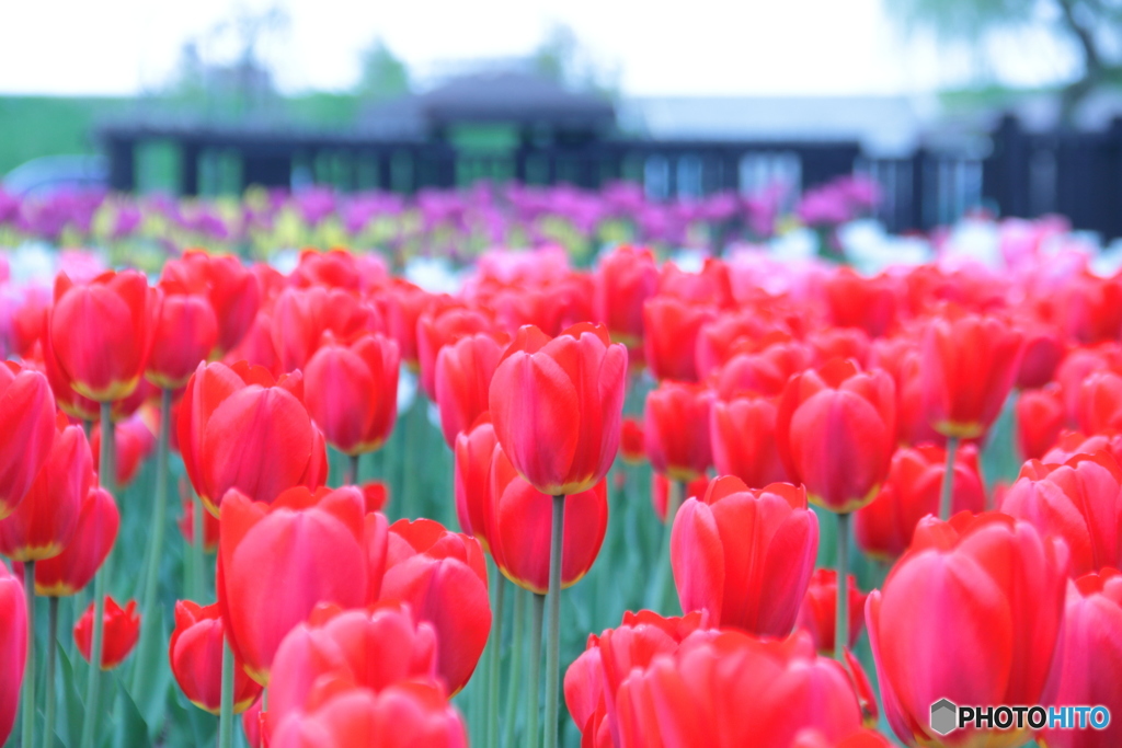 旭川市常盤公園　その1