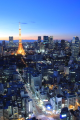 東京タワー　その3