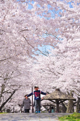 九州中津の春風景