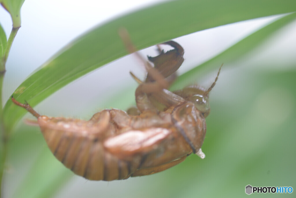 梅雨明け！