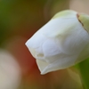 ホッ