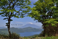 癒しの風景