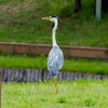 IMGP9295