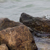 IMGP9638