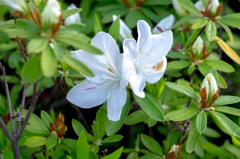 IMGP8926