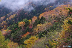 霧まく秋２