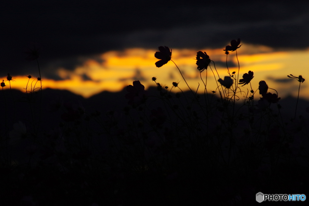 夕暮れて