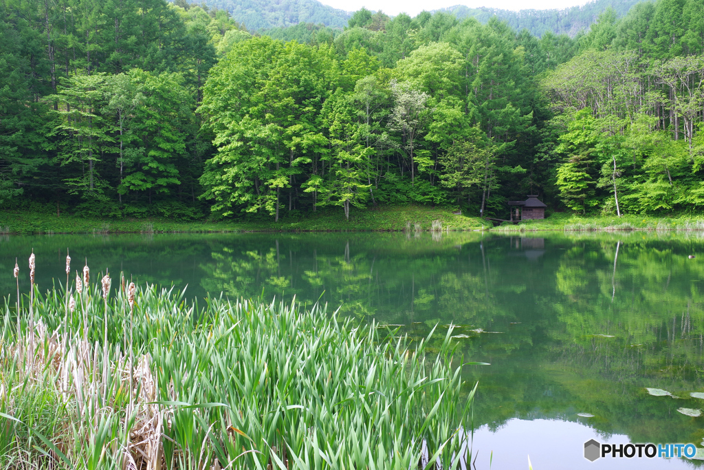 静寂の湖畔