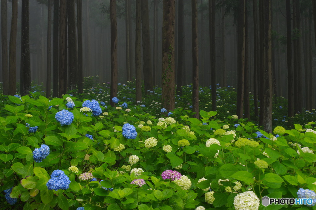 朝の静けさ