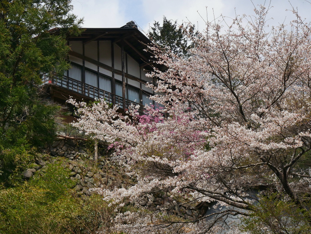 里の春