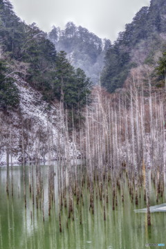 冬の自然湖４