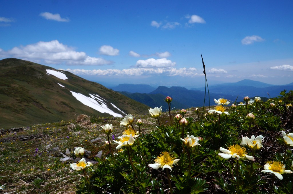 平標山展望