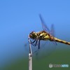 青空が大好き！