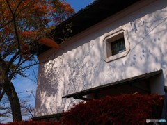 紅葉　懐古園にて