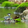 水辺の一時