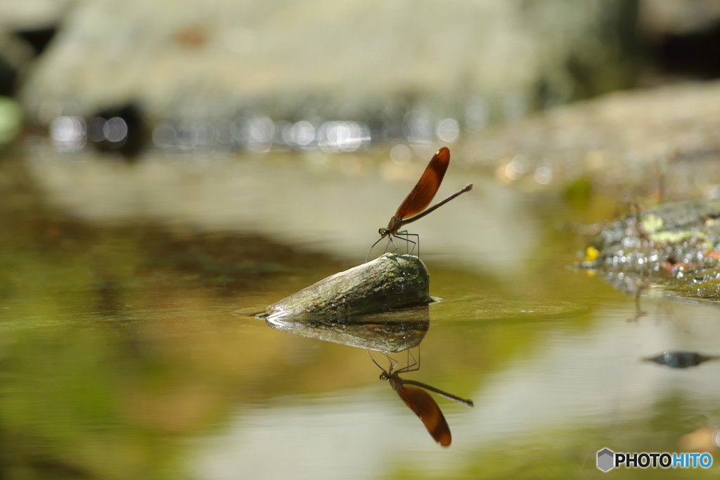 水鏡