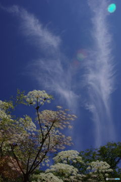 青空の風景