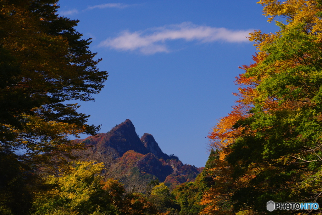 紅葉