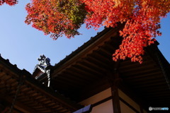 秋本番１