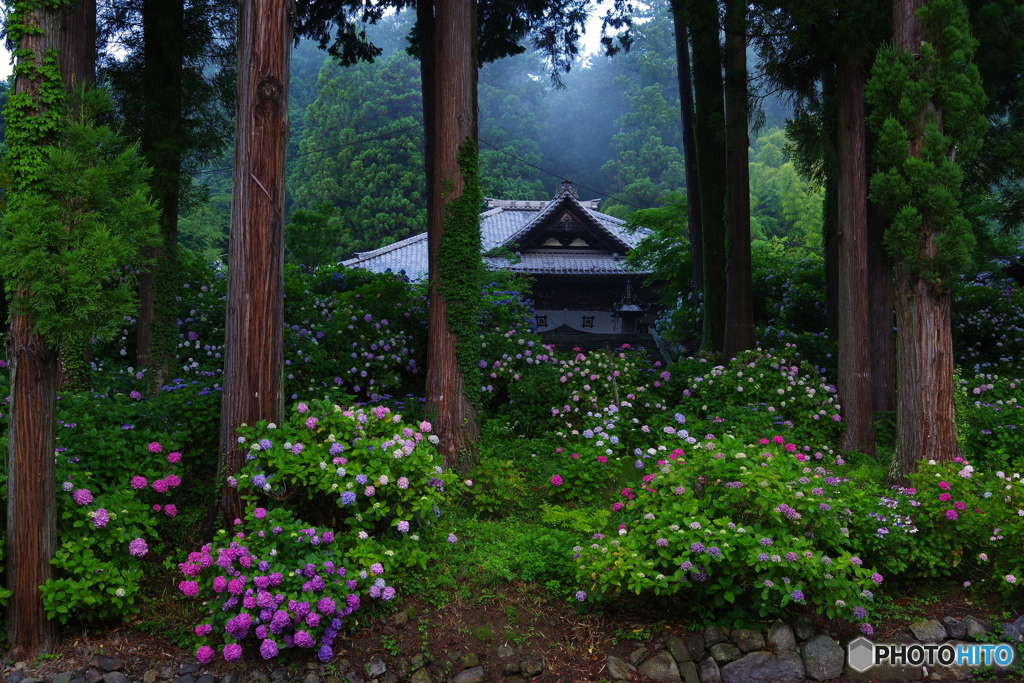 静けさの中で