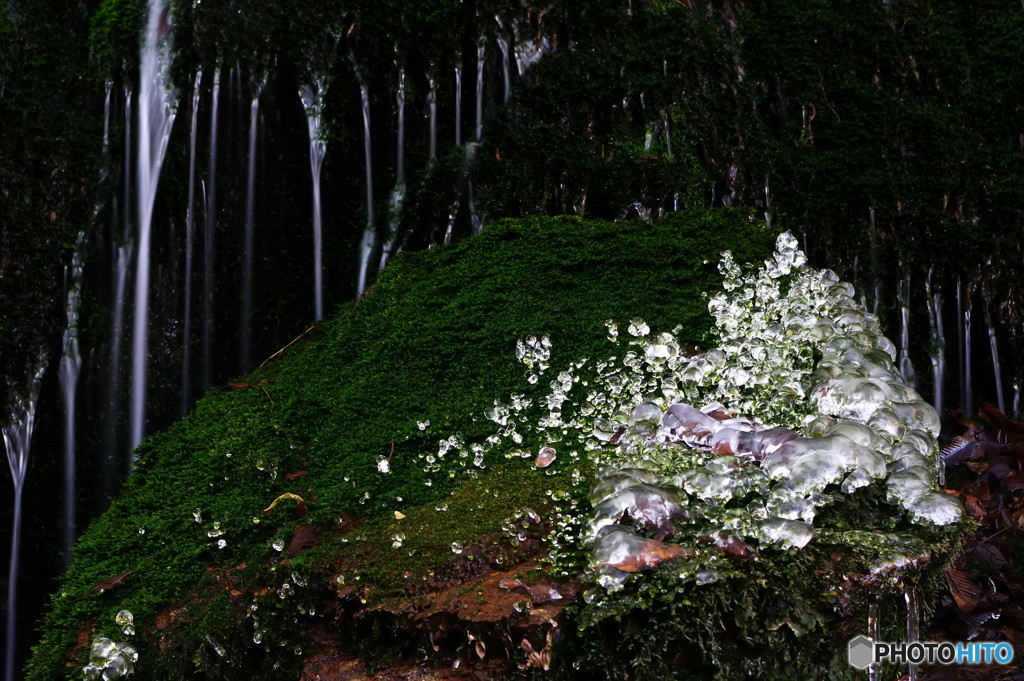 冬滝