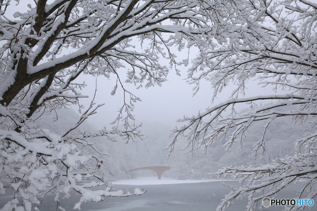 雪景色４