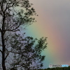 虹を見た