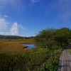 湿原を歩く