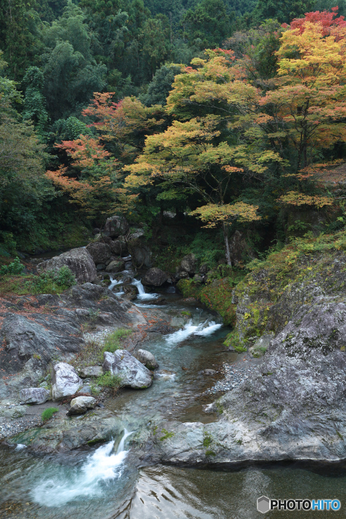 渓流の色づき