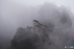 霧の山里