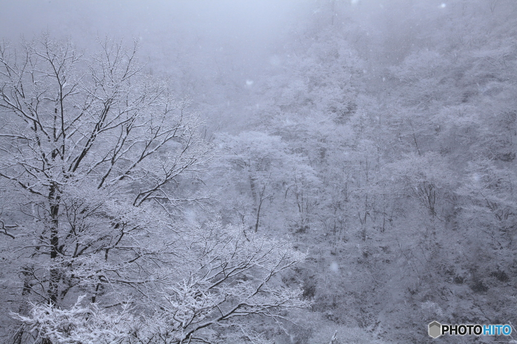 雪景色５