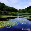 水辺の精霊