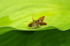 休息１