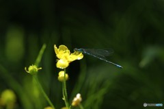 植物園にて２