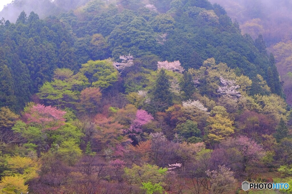 山の色づき