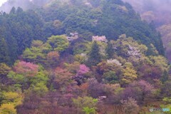 山の色づき