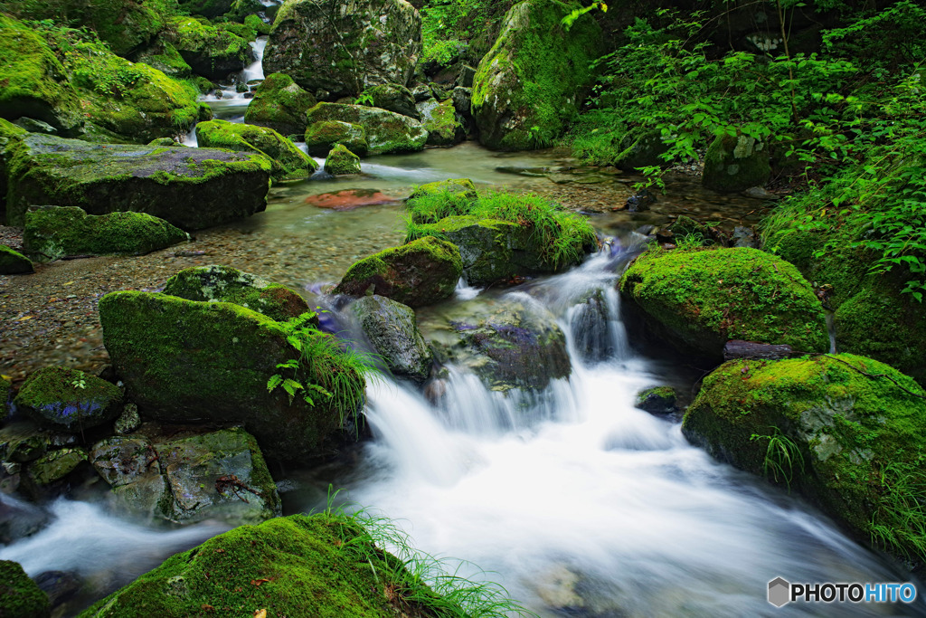 苔むす渓流