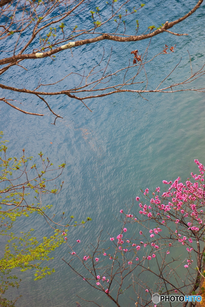 湖面の彩り