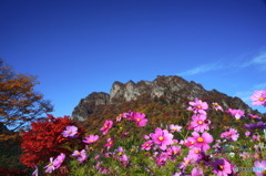 花と紅葉の妙義山