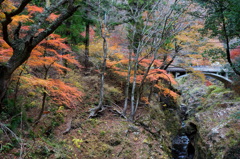 渓谷の秋