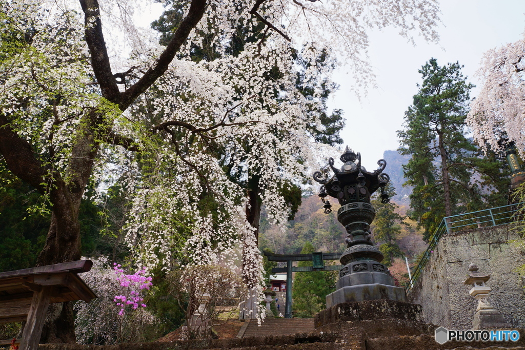 妙義神社